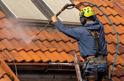Démoussage et hydrofuge de toiture à Orliénas